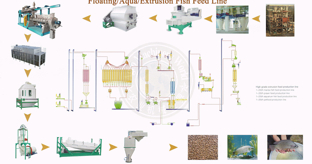 Floating fish feed process line Agro Machinery World