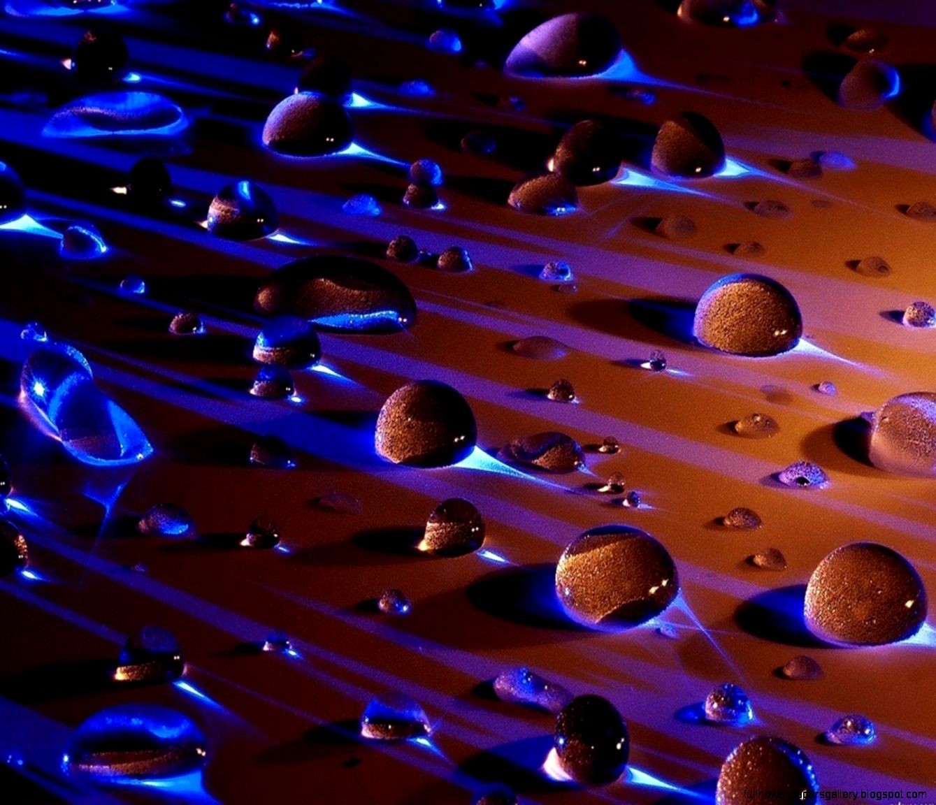 1440x1280 mobile phone wallpapers download   11   1440x1280