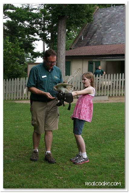 Ideas for natural fun for the whole family including a day at a Busch Gardens from www.realcoake.com Natural Family Fun