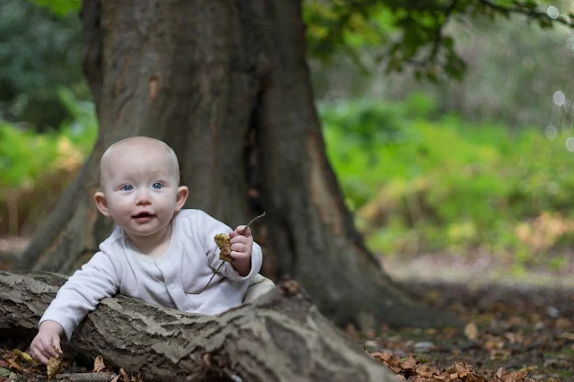 A baby sits on the floor in a forest holding leaves with a fallen branch in front of her and a tree behind