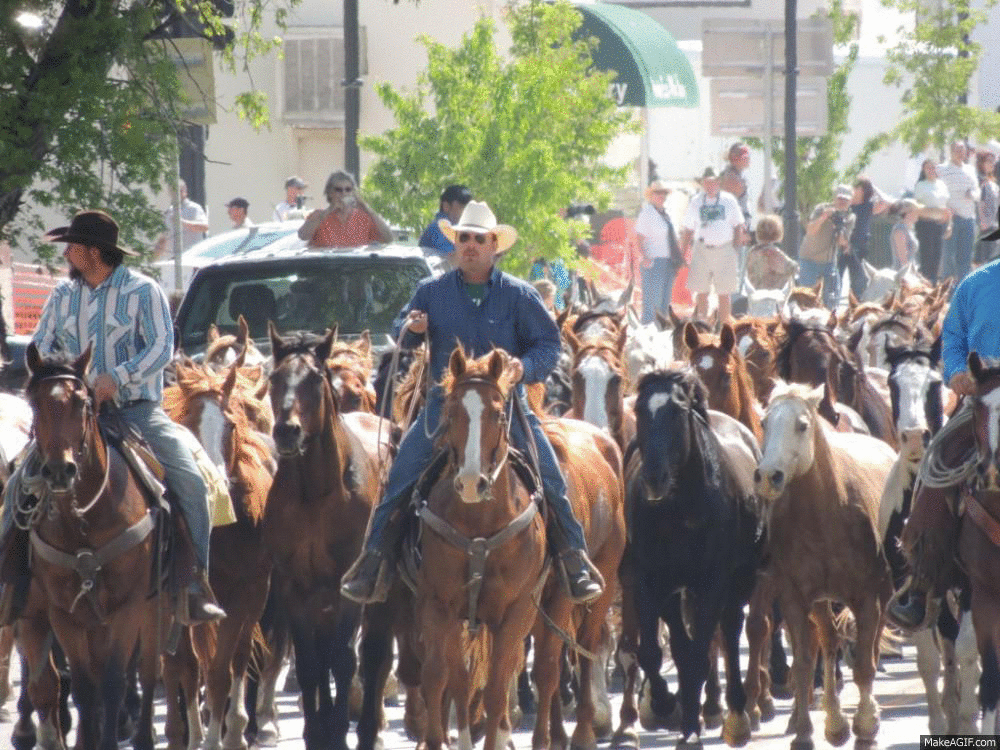 From the High Country Horse drive through Sheridan...