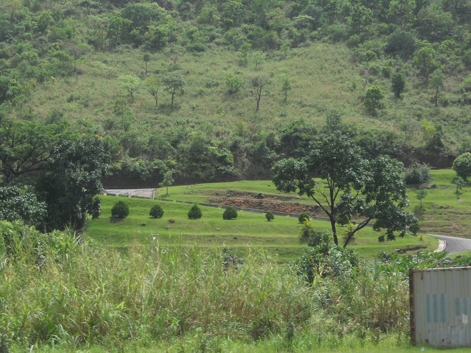 Pictures of one of the most attractive tourist destination site in Nigeria the "obudu cattle