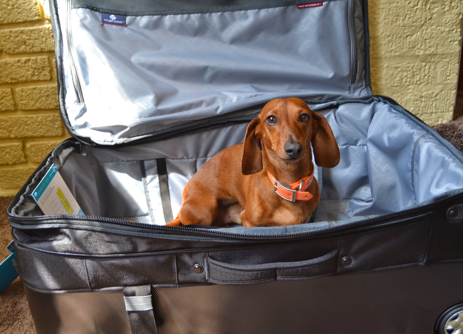 eagle suitcase review