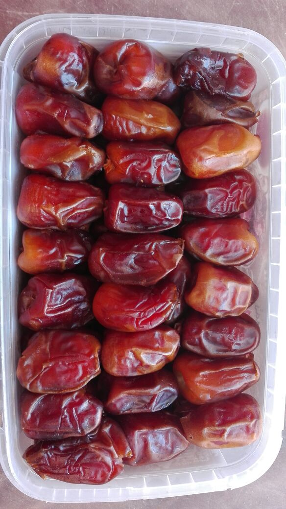 Mudga Agriculture & Food Products suppliers Egyptian Dates suppliers