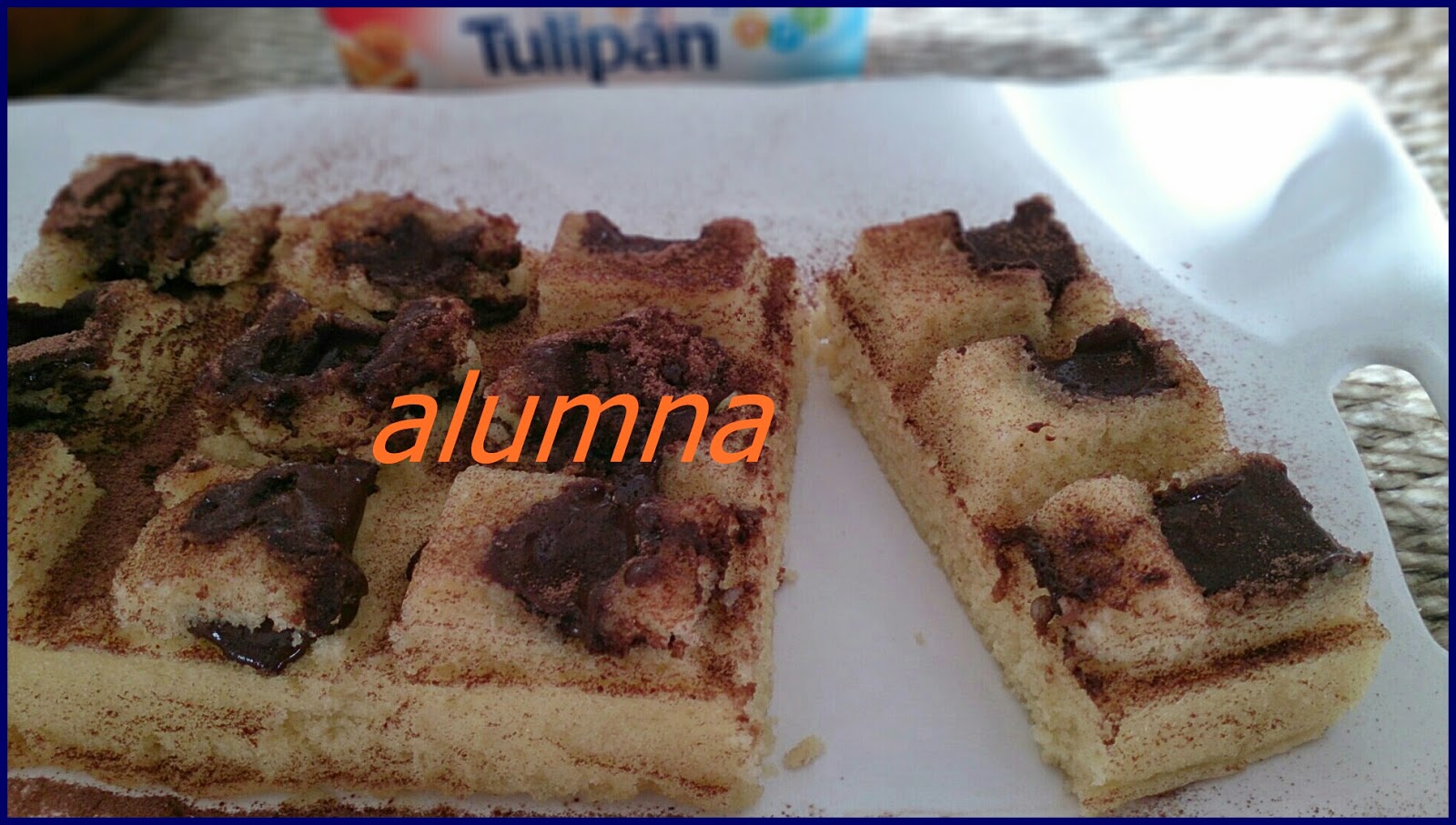 bizcocho%2Btulipan.jpg