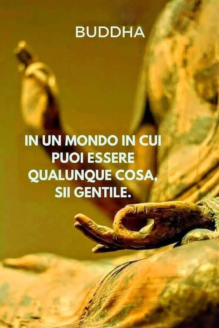 Dragoni Prof Un Sorriso E Una Curva Che Raddrizza Tutto Philips Diller