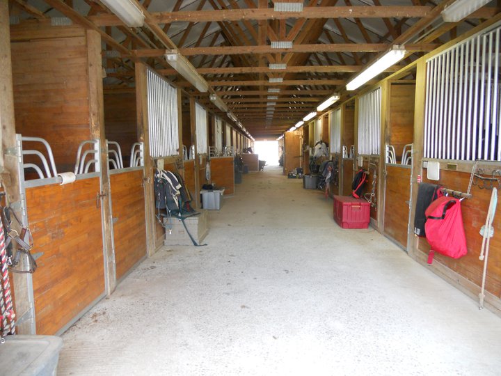 Southwind Farm, Inc. A Premier Horse Boarding Facility located in