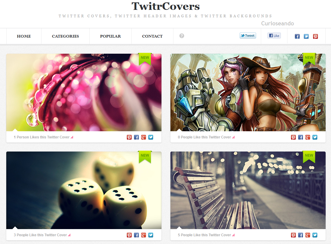 Sitios web para personalizar tu header en Twitter Curioseando