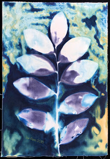Wet cyanotype_Sue Reno_Image 371