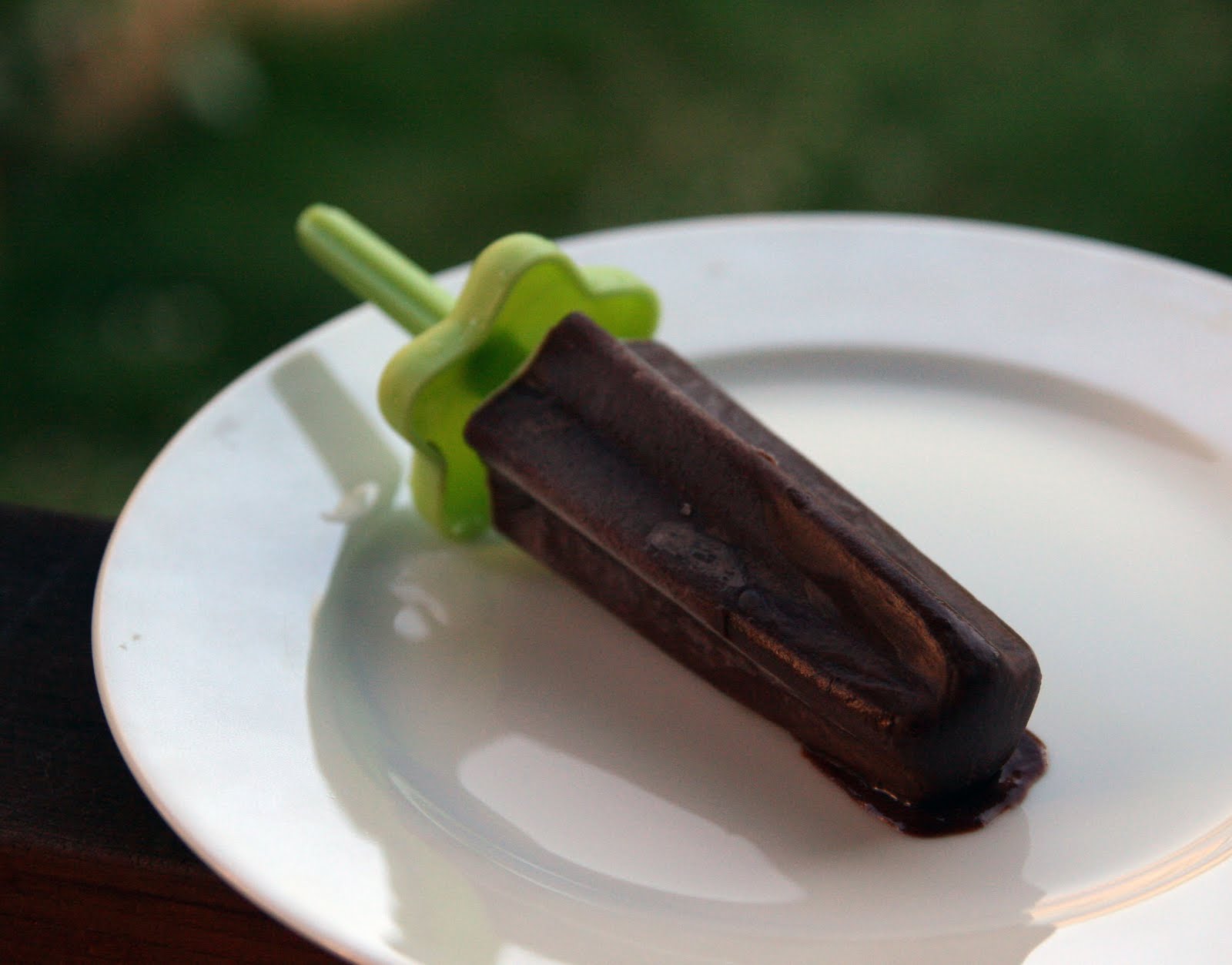 Fudge Popsicles Recipe mostly foodstuffs