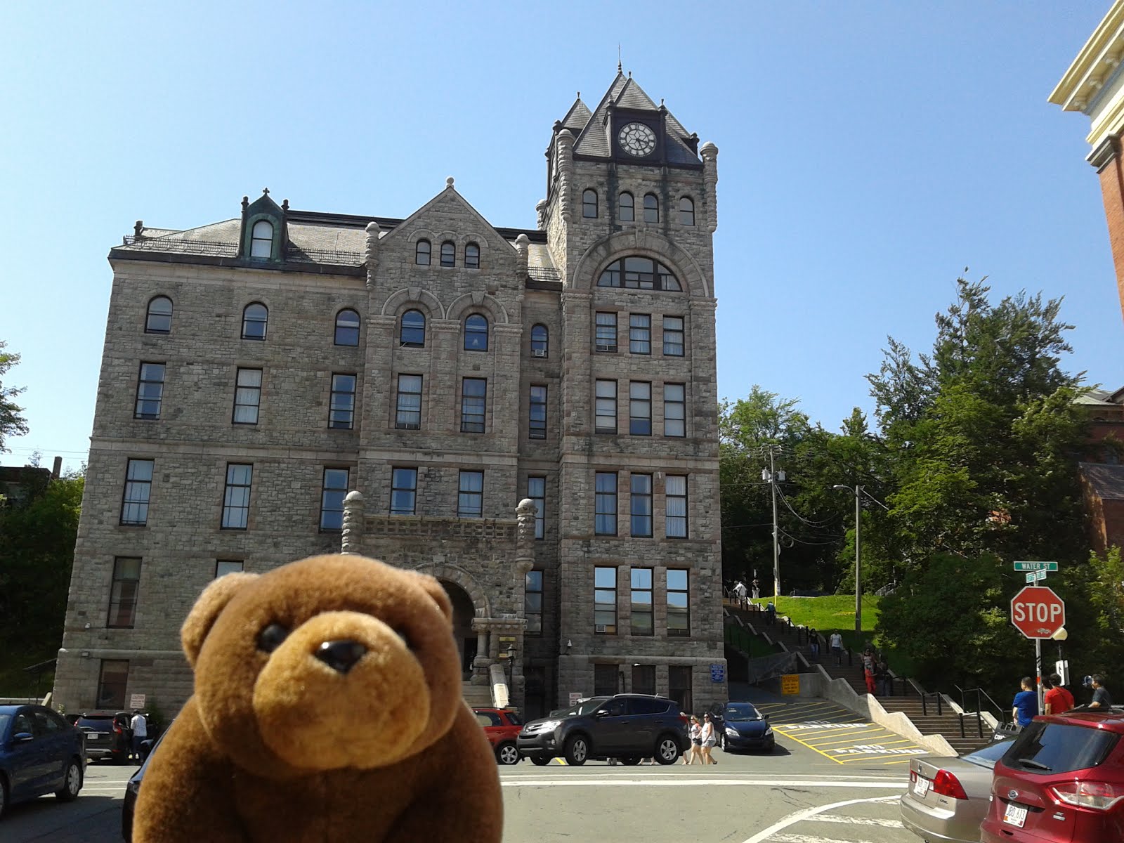 Teddy Bear in St.John's, Canada