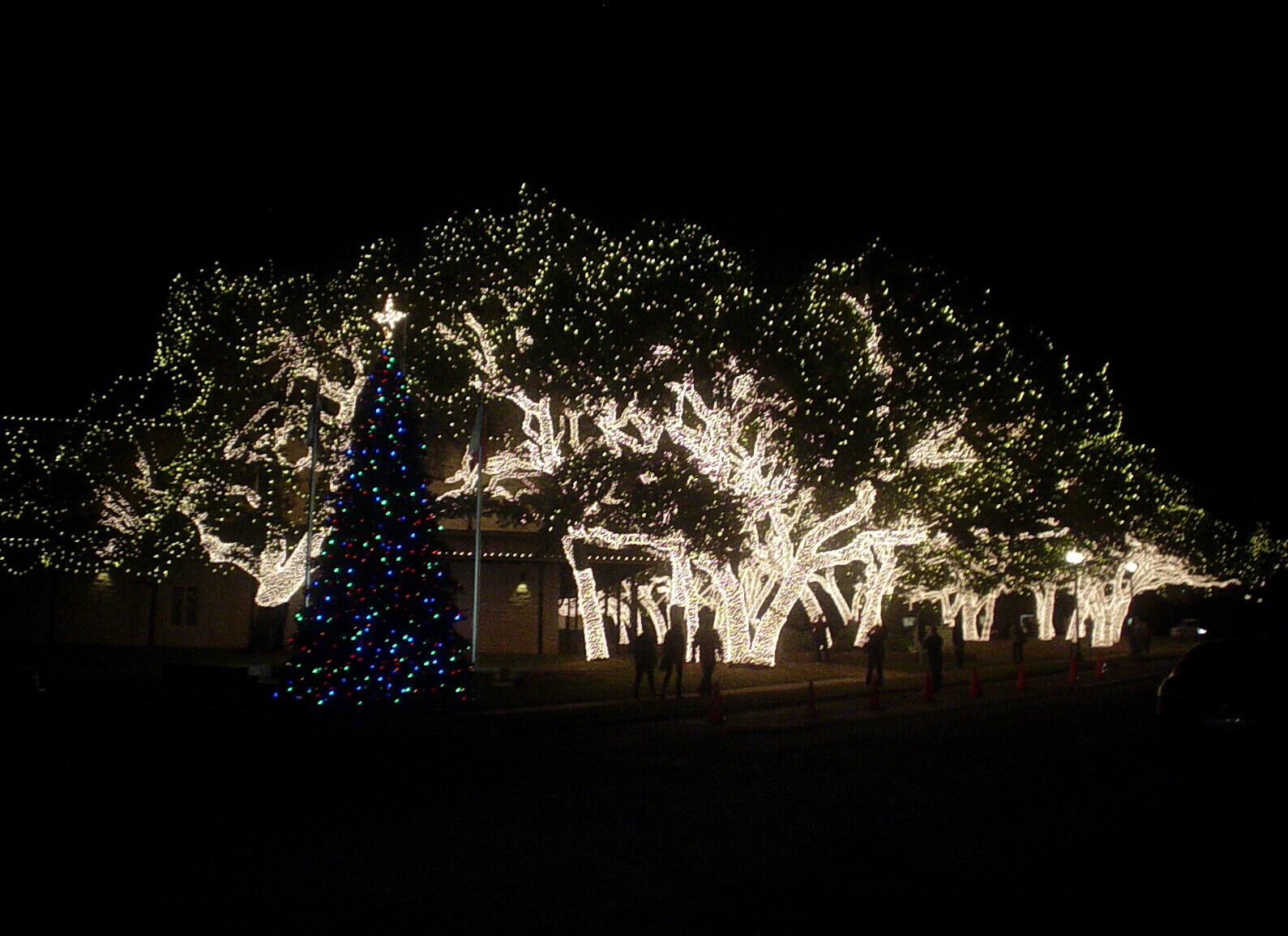 The Road Johnson City Christmas Lights