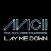 2014-04-26 Studio Music: "Lay Me Down" French Radio Edit