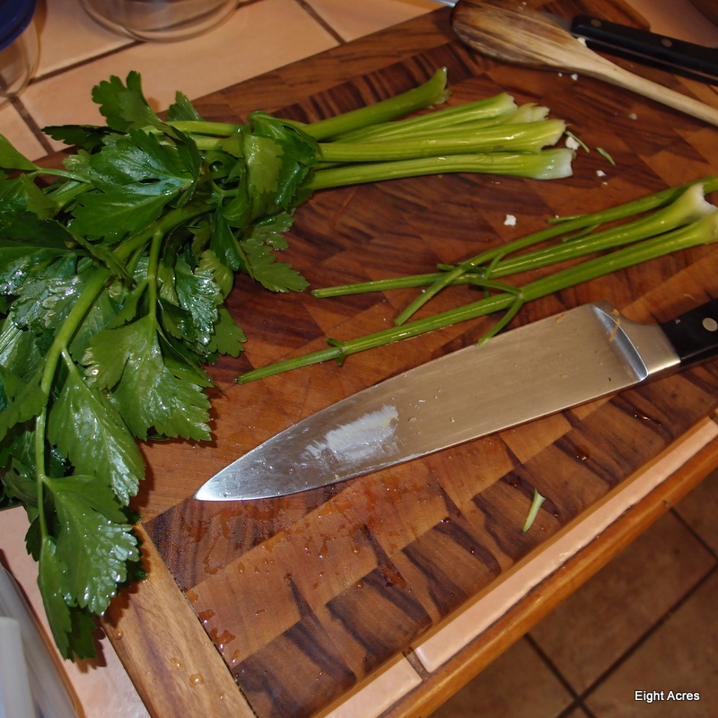 Growing and using celery