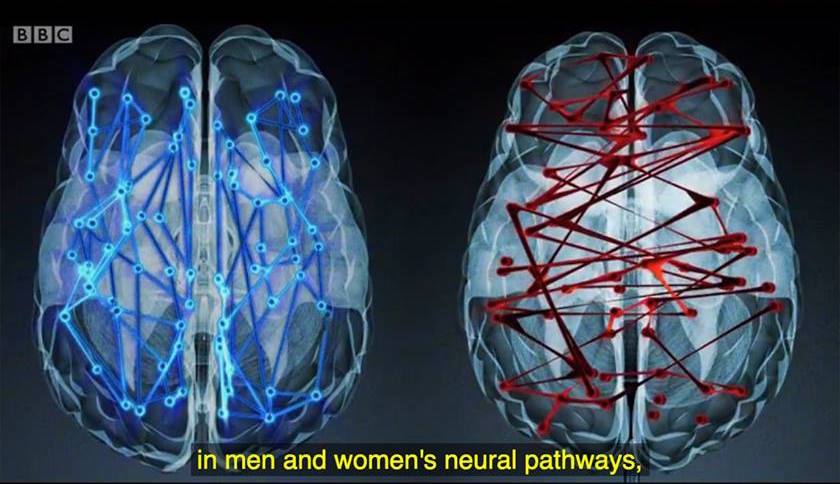 Lelaki vs Wanita - 20 Perbezaan Psikologi Yang Menarik