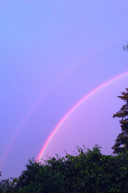rainbows, joy, beauty, Anne Butera, My Giant Strawberry