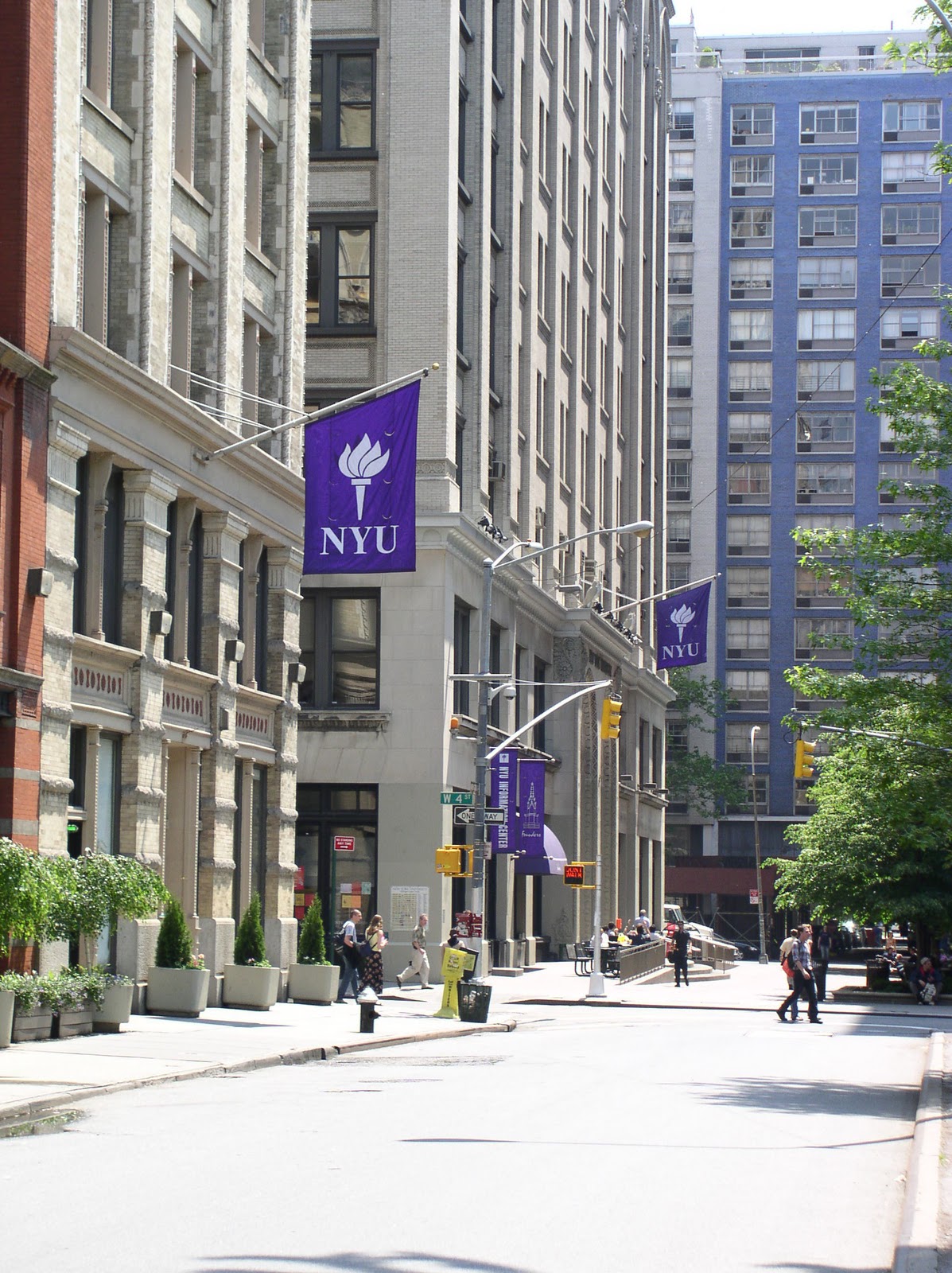 New York University Catalogue of Online University