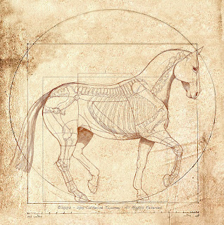 Equine Print by C. Twomey
