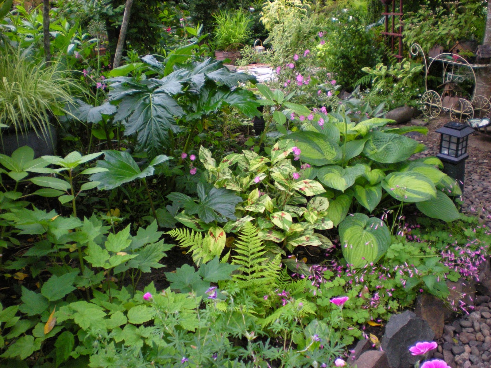 Gardening With Grace: June is Such a Pretty Month