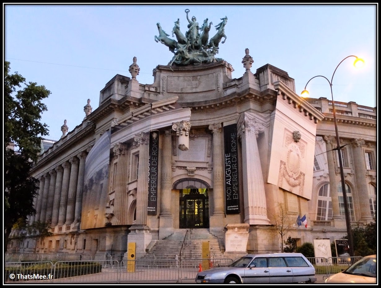 Grand Palais Monumenta 2014