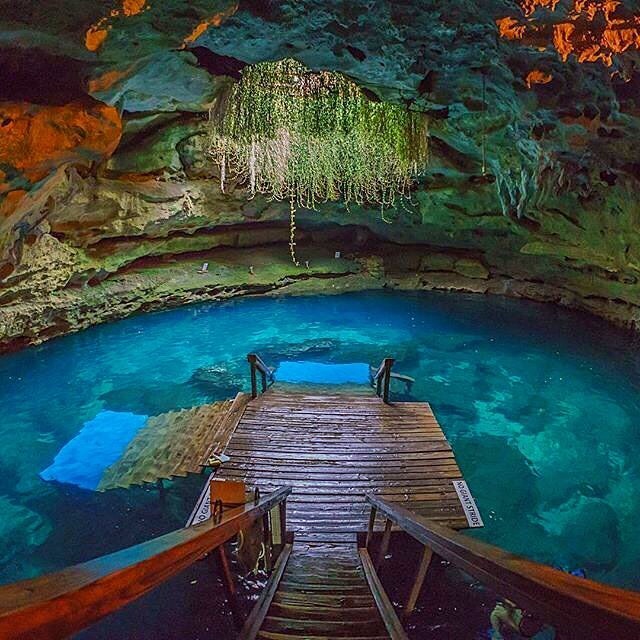 Devil's Den Prehistoric Spring for Scuba Diving & Snorkeling