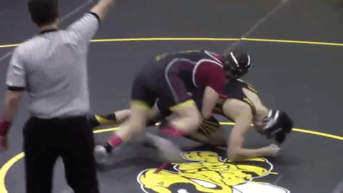 Men Wrestling Women: 2019