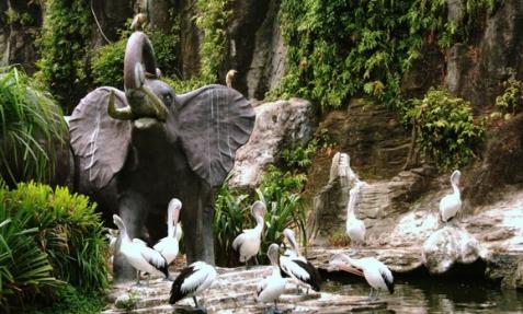  Ragunan merupakan sebuah kebun hewan untuk wisata keluarga yang berada di Jakarta sela 7 Eksotisme Wisata Ragunan Yang Menarik dan Populer