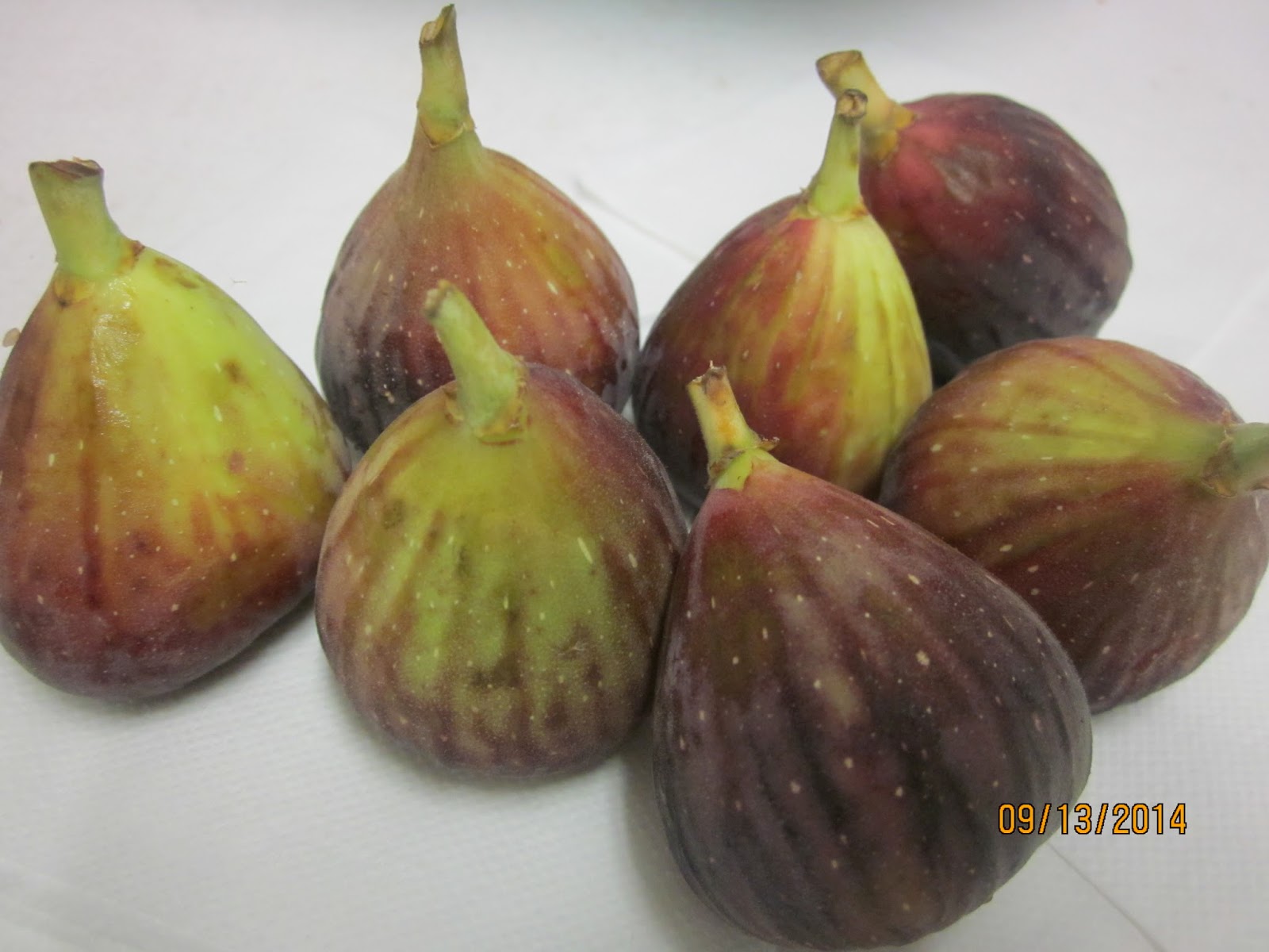 Culinary Chronicles My food adventures, recipes and other stuff.