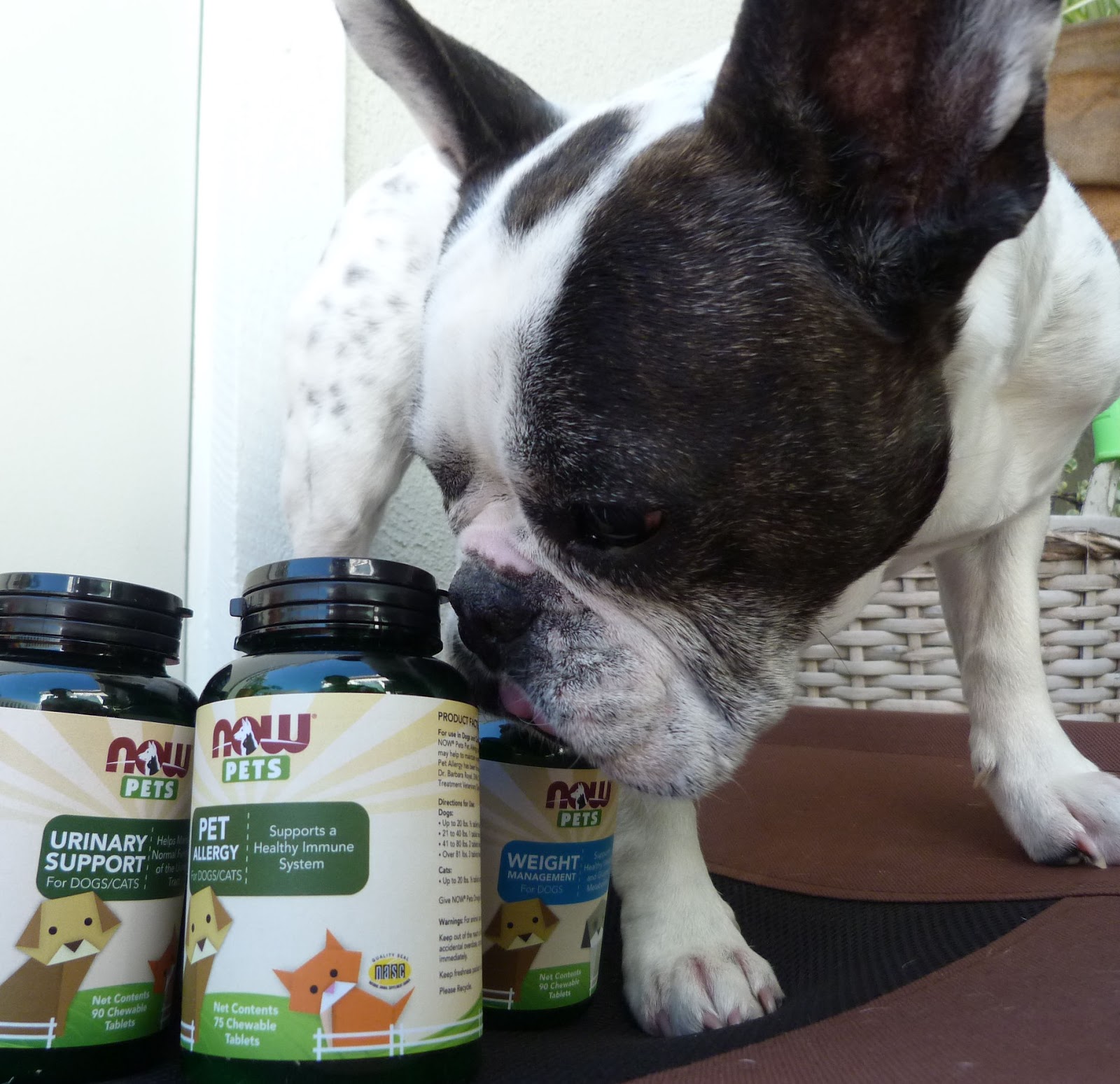 Two French Bulldogs NOW Pets Supplements NOWpetsSweep Ad