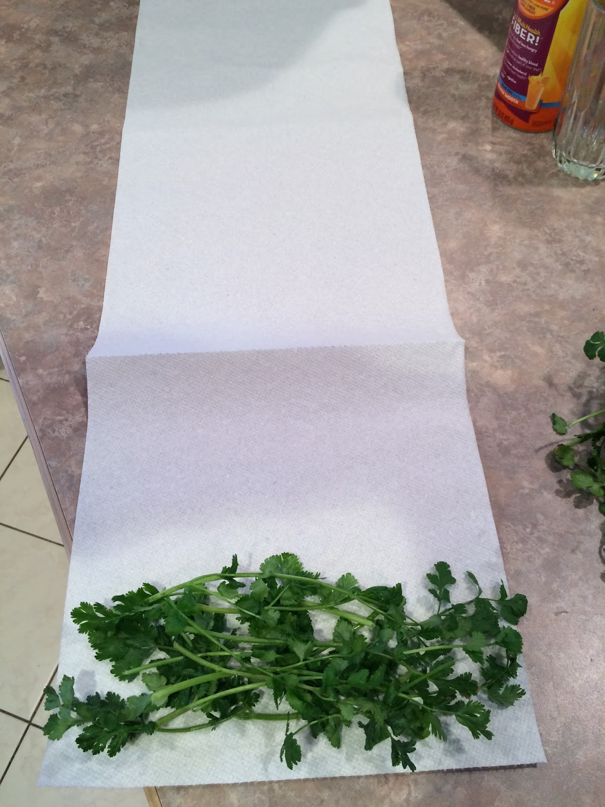 MI Lake Home Garden Preserving Herbs By Freezing