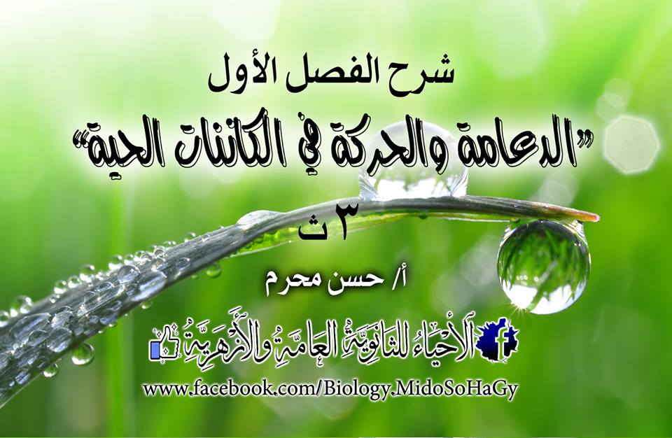 حديث ثالث ثانوي حديث ثالث ثانوي