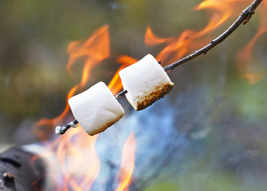 10 Summer Activities