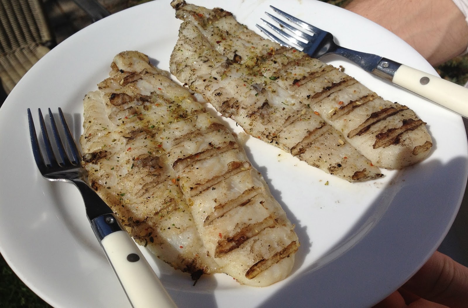 Grouper Fish Taste Frozen Grouper Supplier Grouper Fish Indonesia grouper-fish-taste-frozen-grouper-supplier-grouper-fish-indonesia