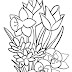 HD Spring Flower Coloring Pages For Adults Free