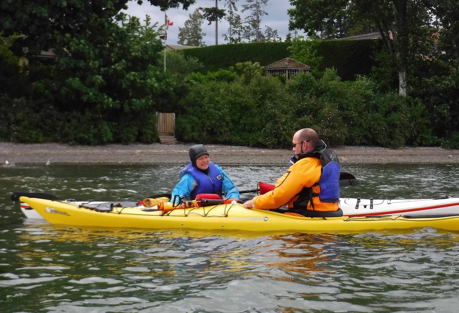 Gecko Paddler Gecko Goes Blue