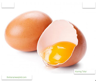 Secara alami lesitin di temukan di kuning telur