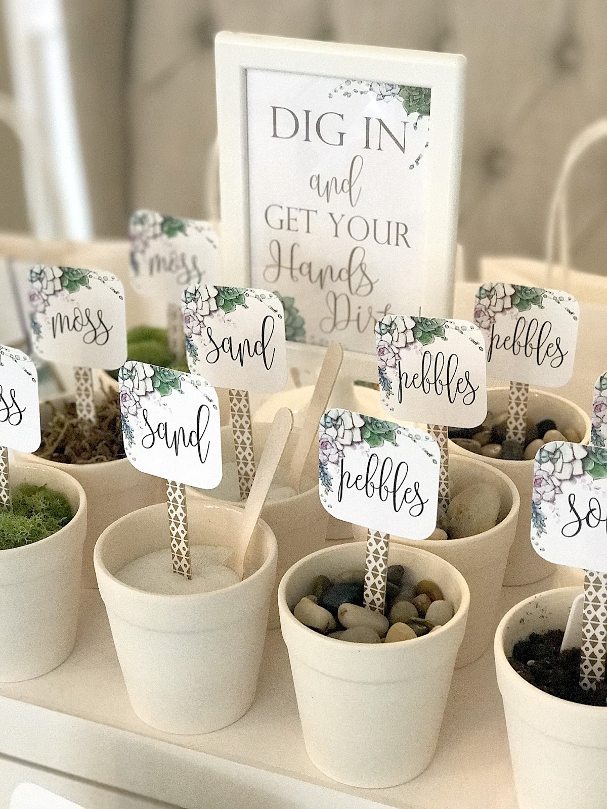 A Lovely Design Terrarium Making Party