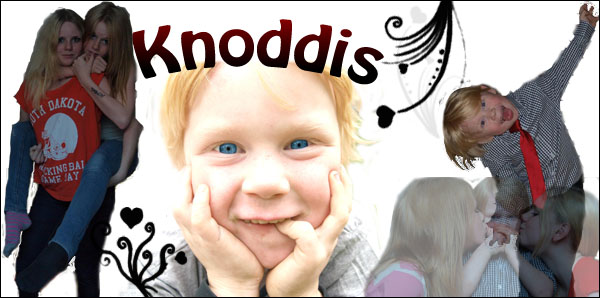 Knoddis