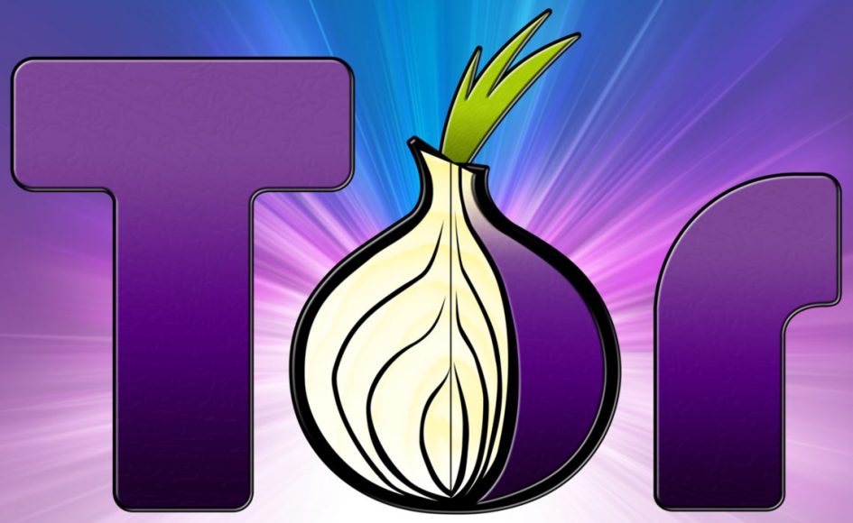Tor browser portable linux gidra под спайсом разделась видео