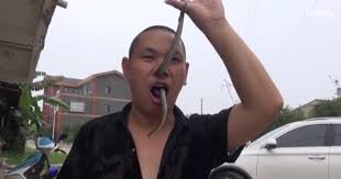 Man Pulls Snake In And Out Of His Nose 