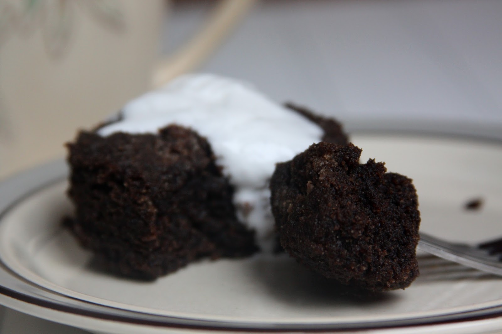 AIP "Chocolate" Mug Cake (AIP, Paleo, Vegan) Don't Eat the Spatula