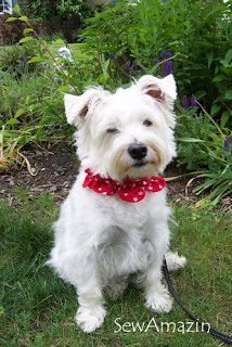 Patriotic Pup Dog Collar Slipcovers