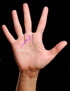 palmistry money line, palmistry money line, hand lines of rich, palmistry money triangle, palm reading success line, signs of wealth in palmistry, property line in palmistry, own house line in palmistry