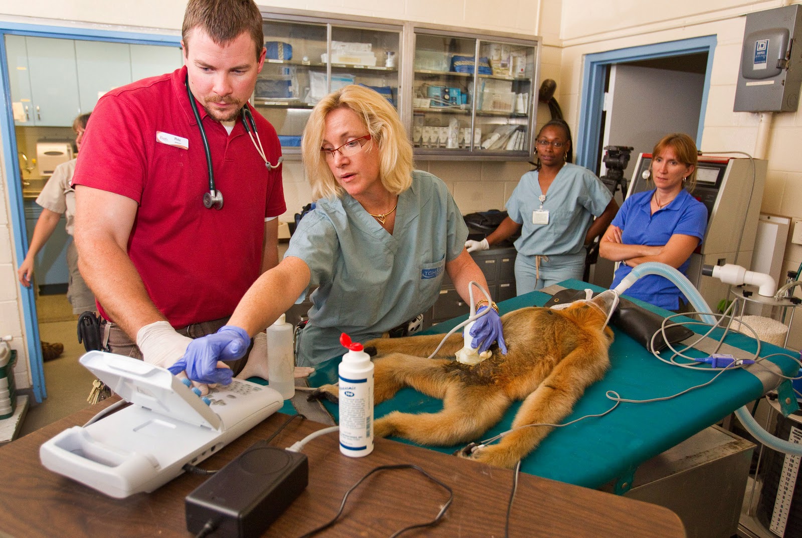 NewsPlusNotes: Busch Gardens Tampa Opens New Animal Care Center