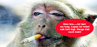Harga Rokok Naik RM16 Sekotak