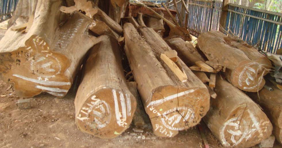 Block Teak Doors Sanjaya Furniture Jepara