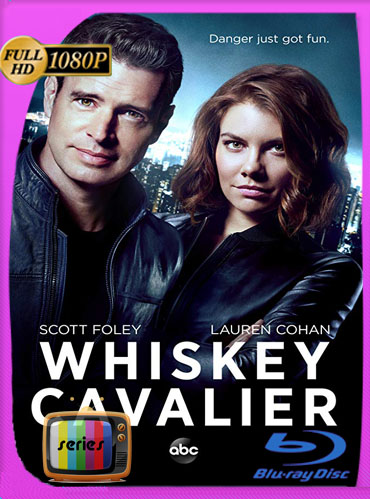 Whiskey Cavalier (2019) Temporada 1 HD [1080p] Latino Dual [GoogleDrive] ​TeslavoHD
