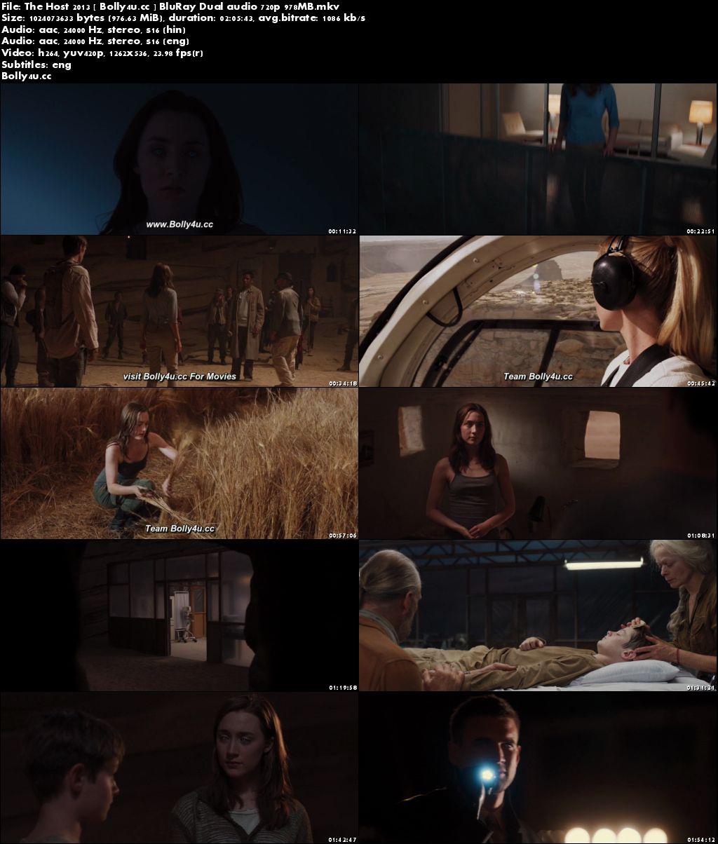 The Host 2013 BluRay 400Mb Hindi Dual Audio 480p Download