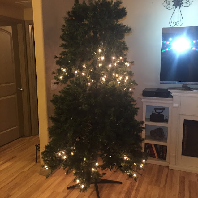 hawaii gay singles gay pride pre lit christmas tree