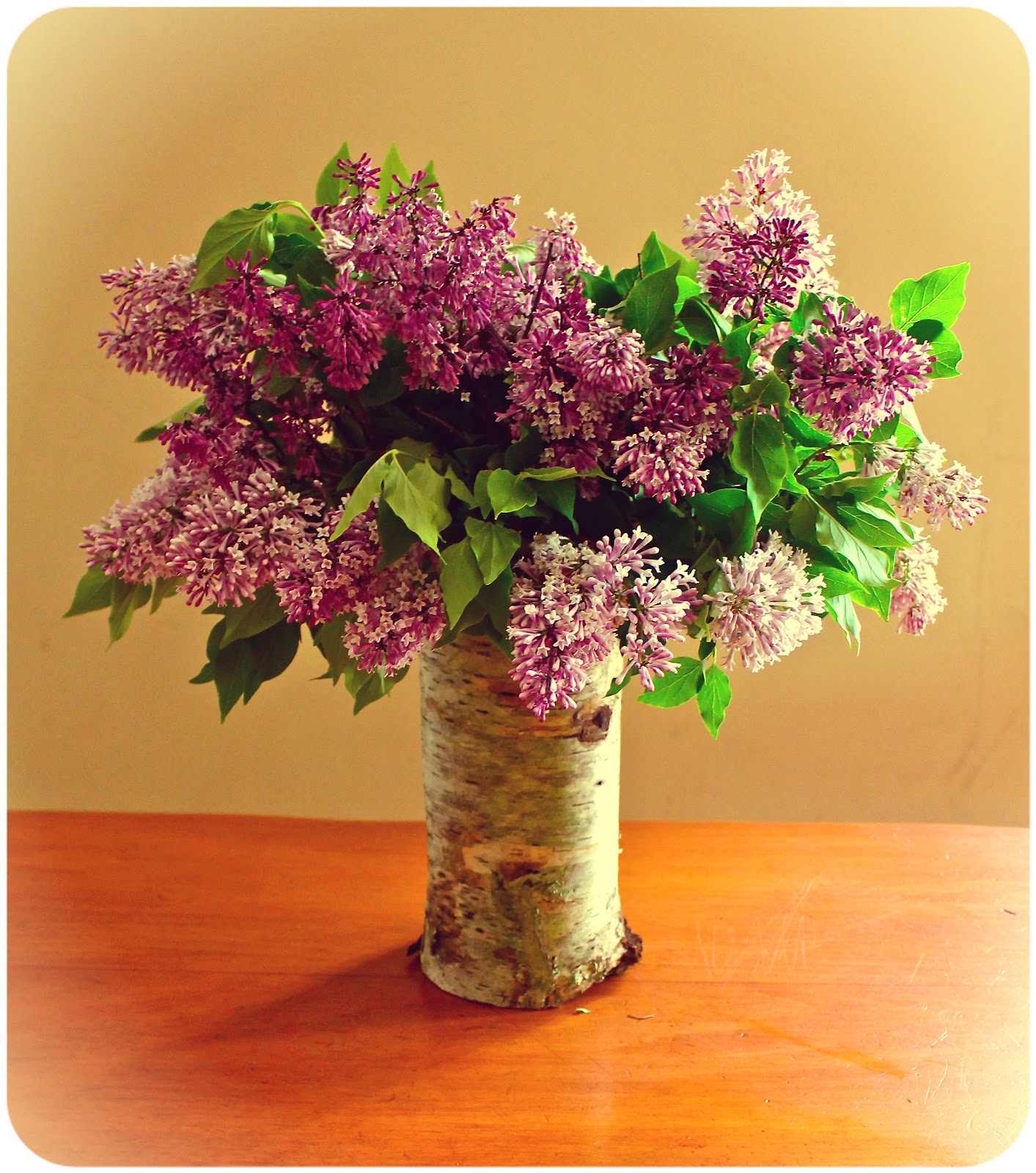 Twig and Toadstool Creating A Birch Bark Vase